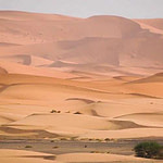 circuit au désert du maroc