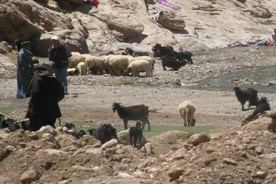 Viaje de 4 días a Marruecos desde Fez a Marrakech